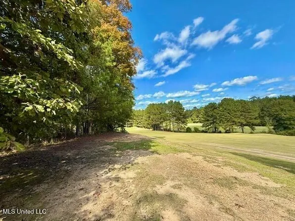 Milltownte Dr, Wesson, MS 39191