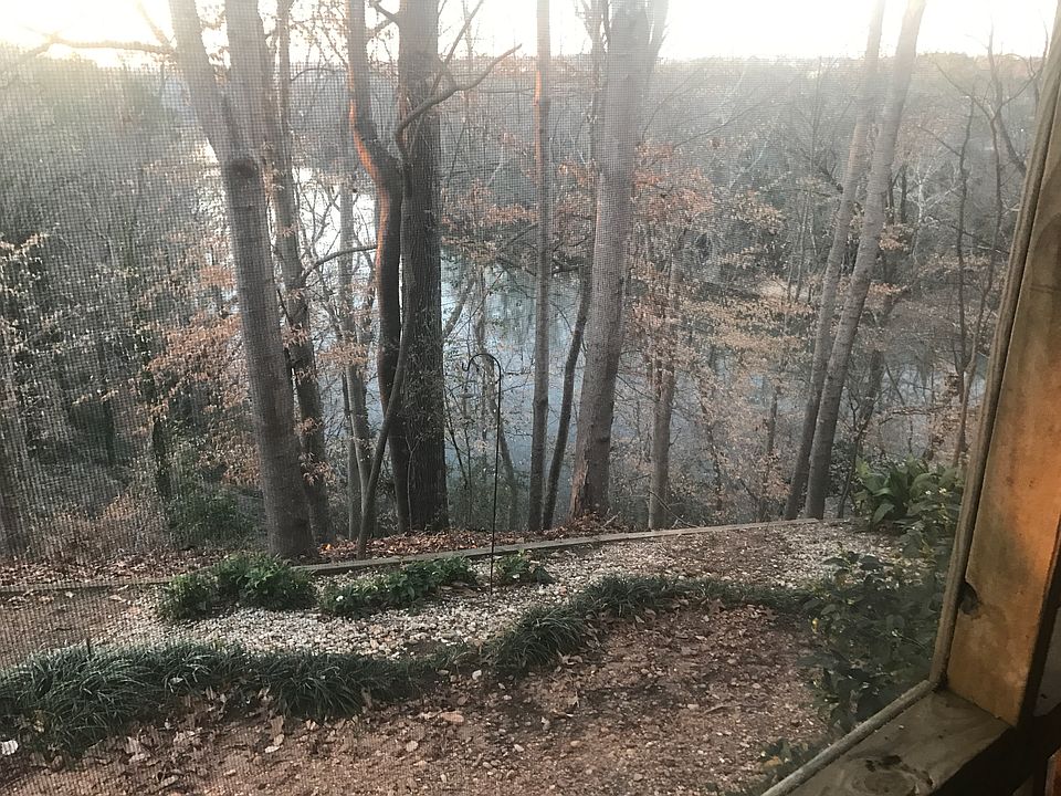 Amazing view from back deck