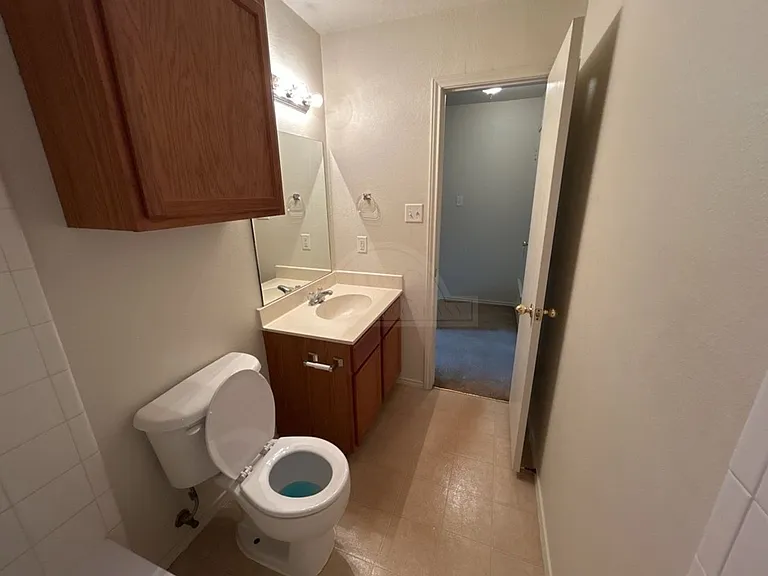 310 Creek, Copperas Cove — Photo 13