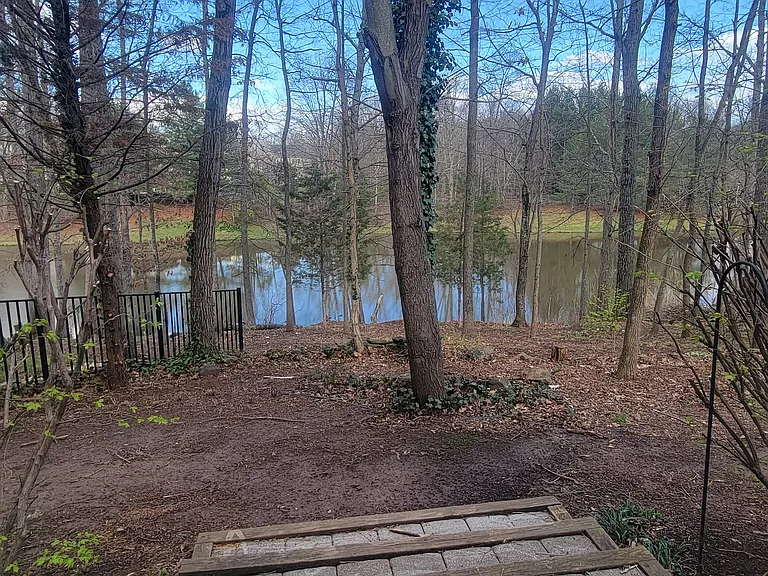 15141 Windy Hollow Cir — Photo 85