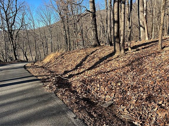 3rd image of 4548 Sassafras Mountain Trl #4548