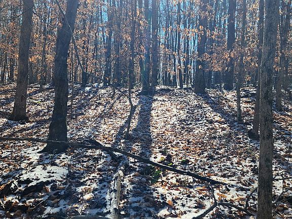 3rd image of 5500 Brookton Lula Rd