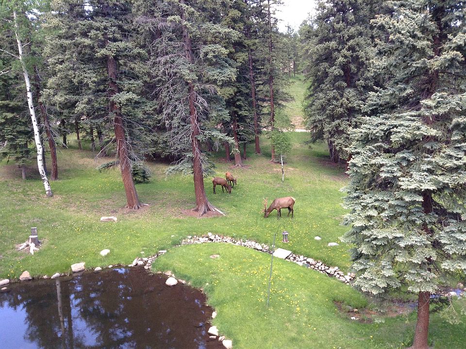 2nd image of 12056 Elk Trail Rd