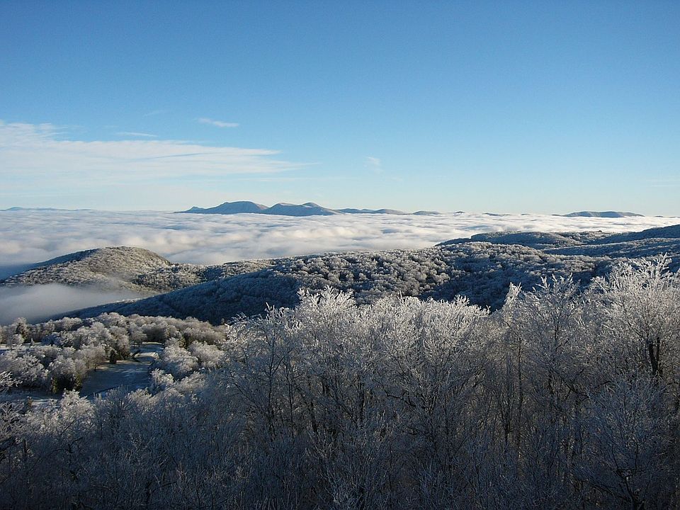 Winter wonderland