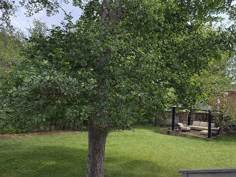 18006 Bishops Pond — Photo 16