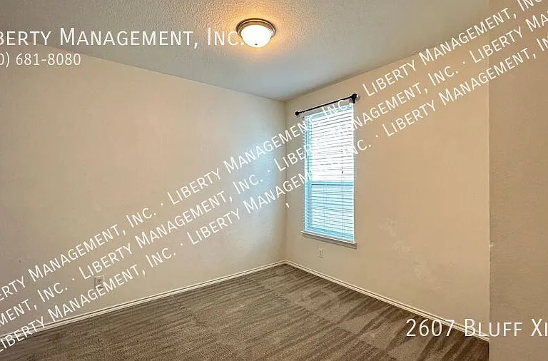2607 Bluff Xing — Photo 9