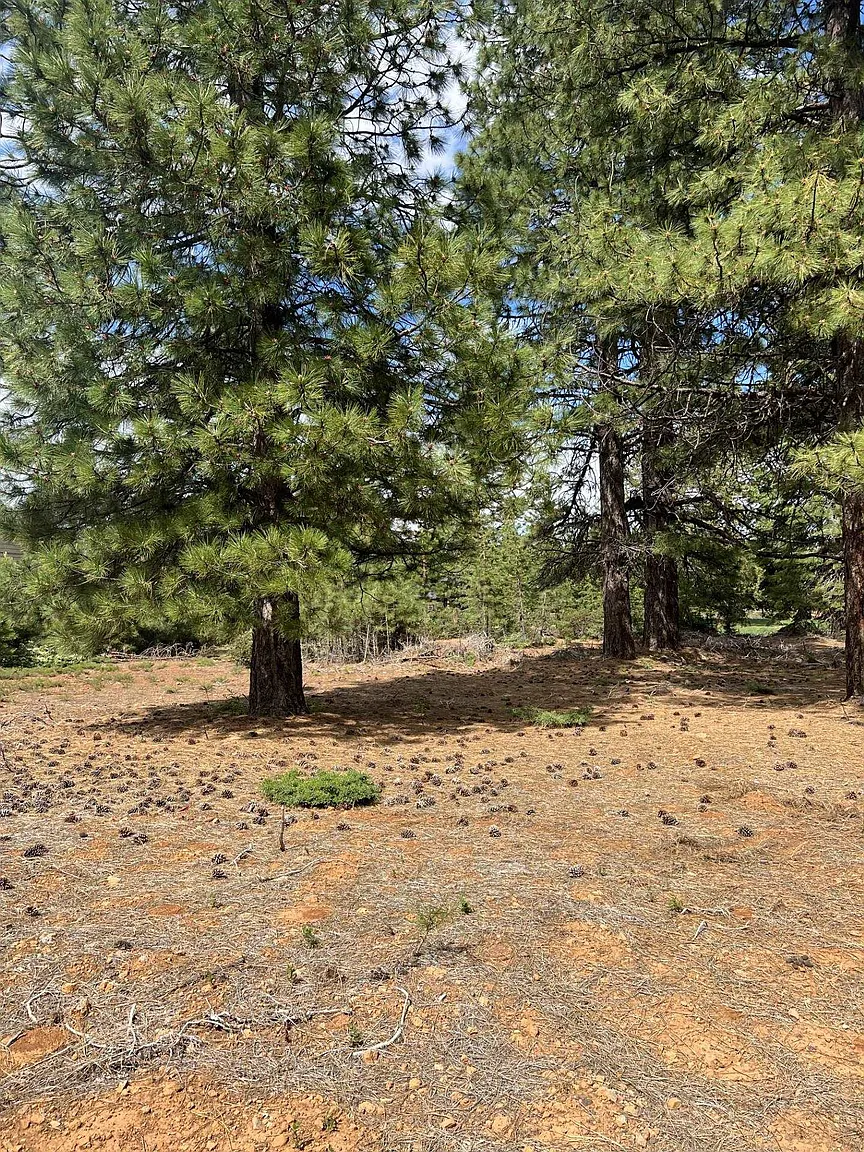 55 Creekhaven Dr photo 1