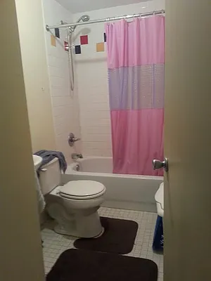 Rented by Astoria Realty | media 8