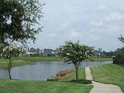 Gorgeous lakes & trails