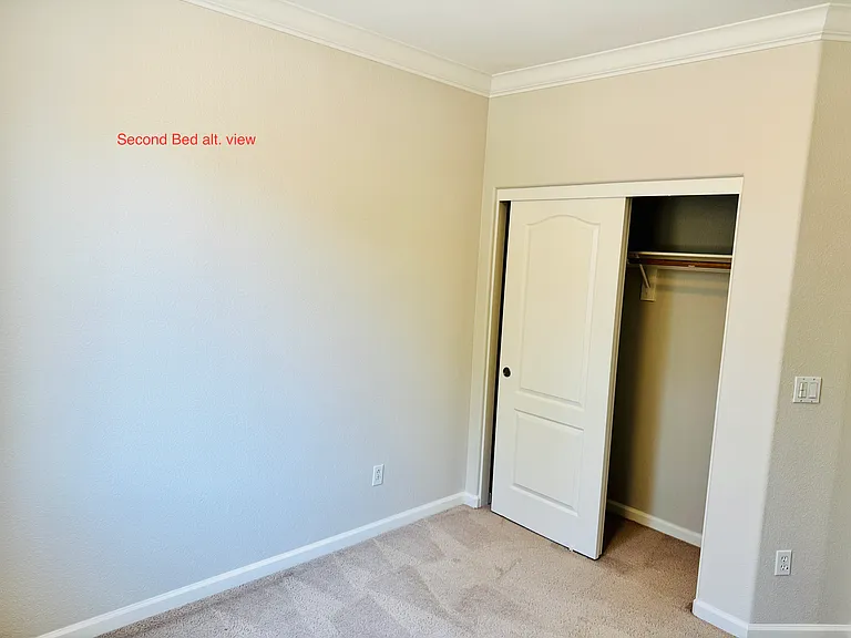 bedroom with carpet and closet