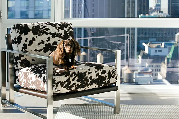 Rented by Bozzuto Management | media 3