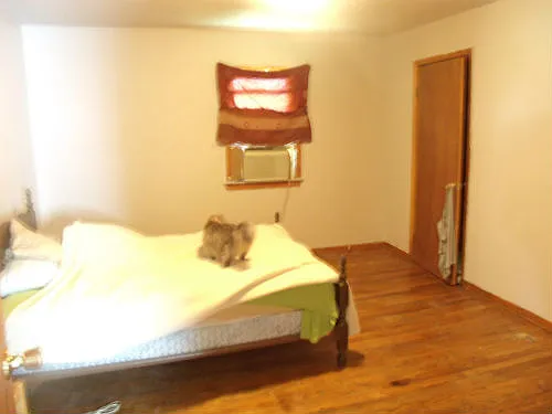 543 Walbridge Ave #2 — Photo 5