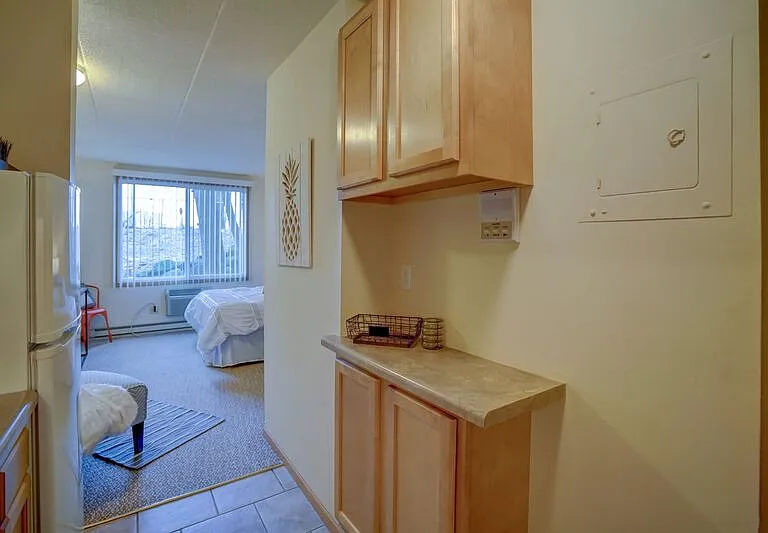 Updated Studio- Kitchen