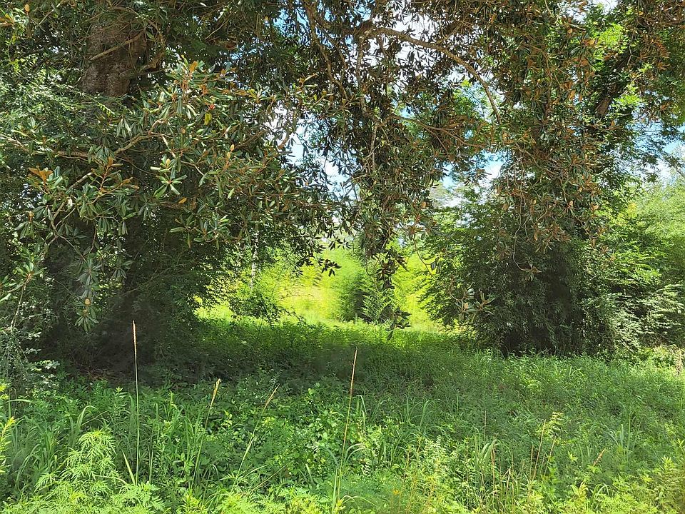 2nd image of 2 County Road 402 Lot 2