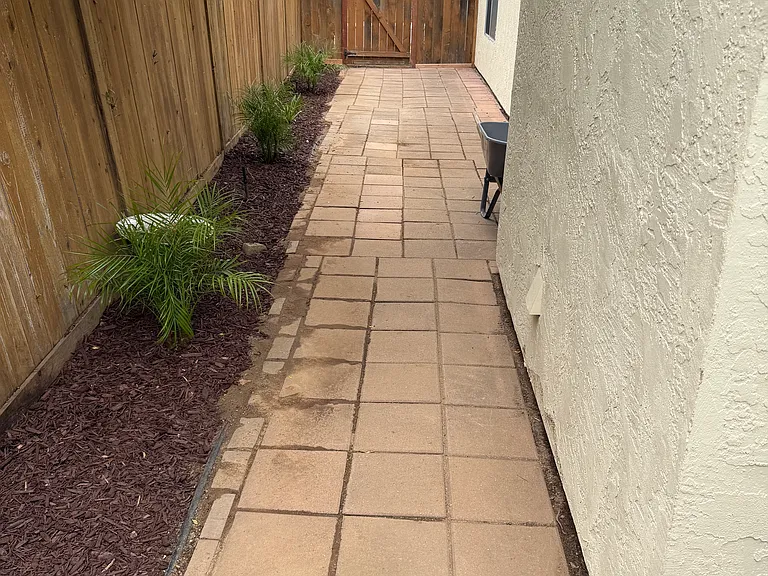 834 House Side Yard
(2026)