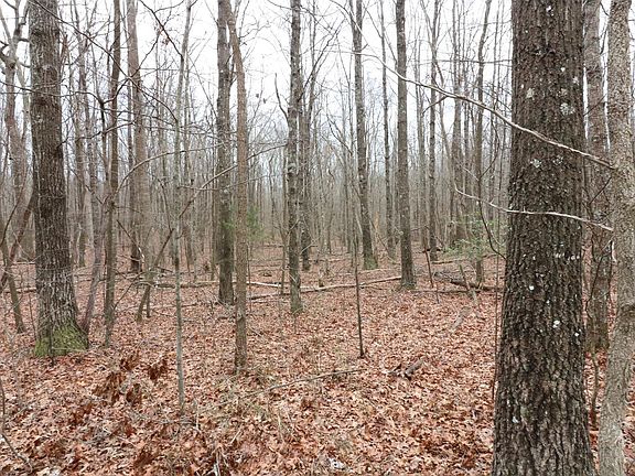 5th image of 2220 Sarvisberry Pl Lot 129