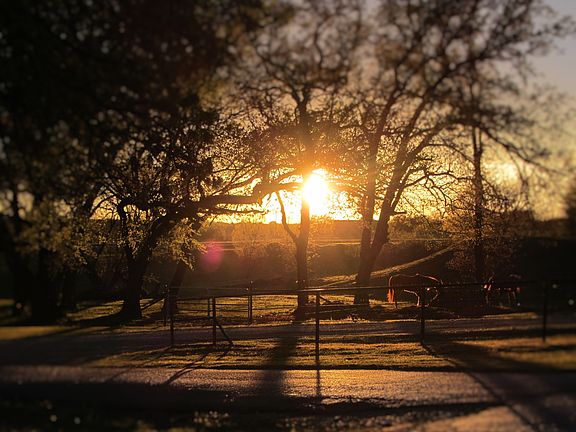 quiet sunsets