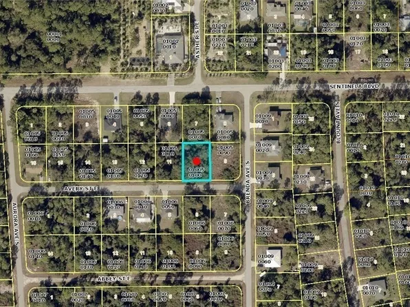 919 Avery St, Lehigh Acres, FL 33974