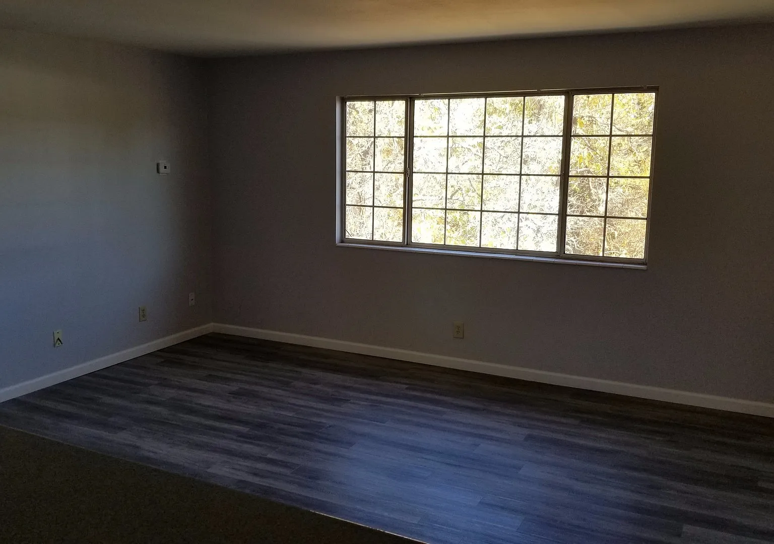 JONES 1140 — Photo 3
