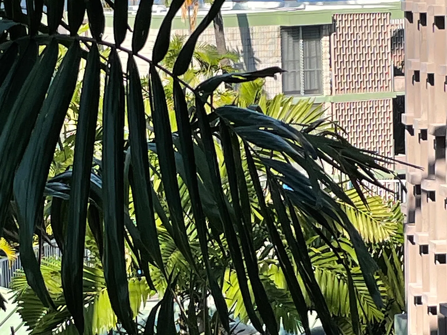75-6016 Alii Dr — Photo 3