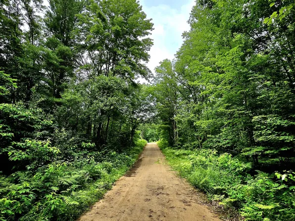 N 15th, Bitely, MI 49309