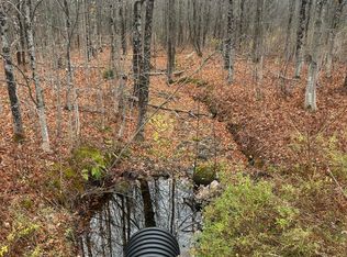 M10 L 7A Higgins Road, Pittsfield, ME 04922