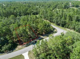 SW 153rd Ln LOT 17, Ocala, FL 34473