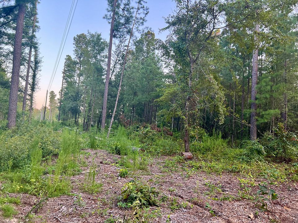 2nd image of 0 Wendell Ln