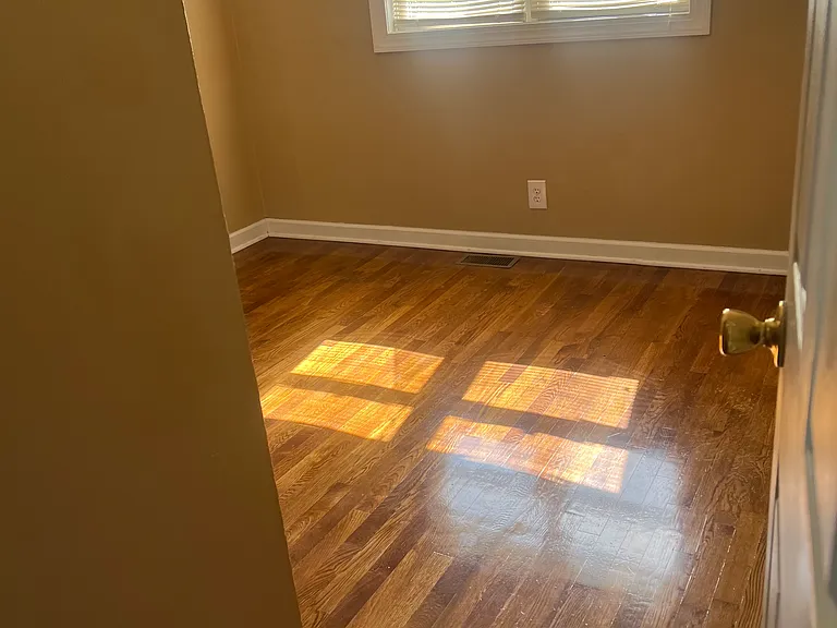 2824 Carrollwood Heights Rd — Photo 14