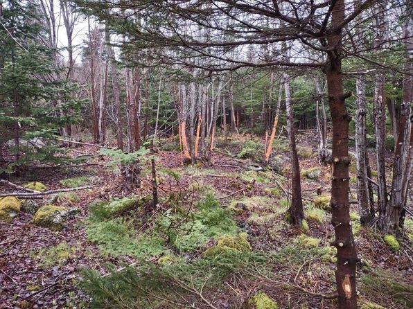 1218 Saint Margarets Bay Rd, Beechville, NS B3T 1A7
