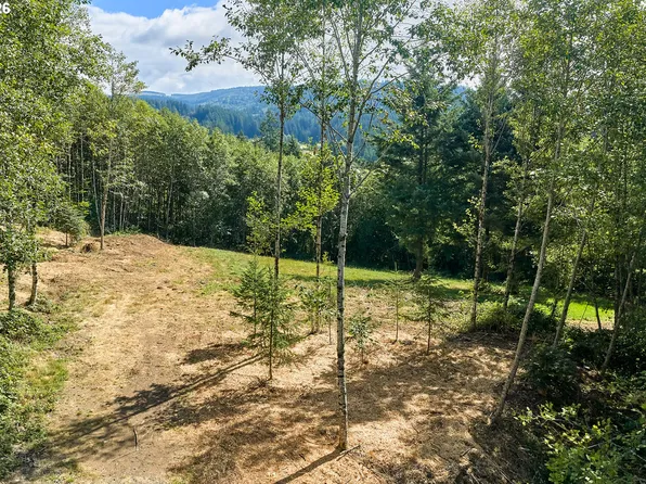 182 White Dog Rd, Washougal, WA 98671