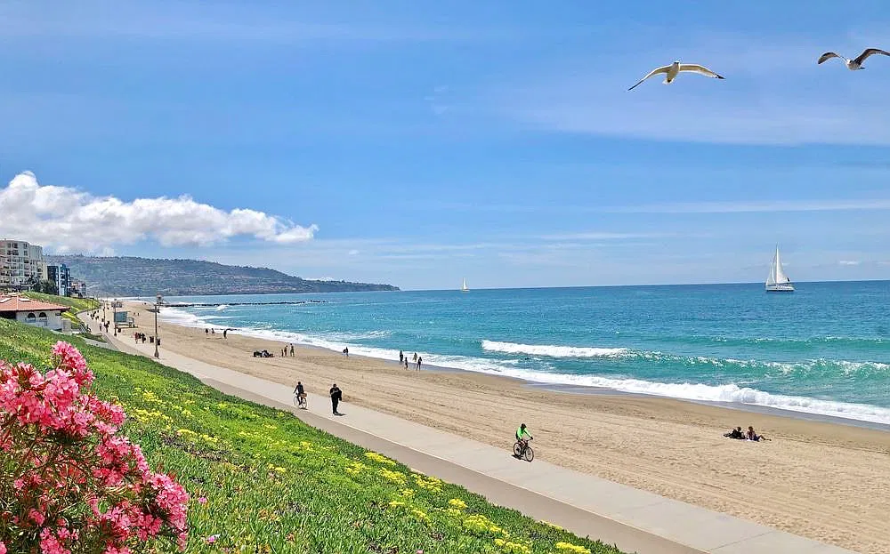 2 bed, $3,100 — Photo 2