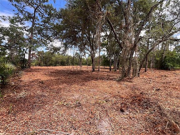 2nd image of Deer Rd #87
