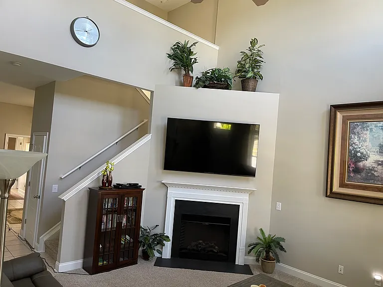 65" TV, Electric Fireplace, Blu-Ray Player, Bookcase with DVD's, Books and Local Books.