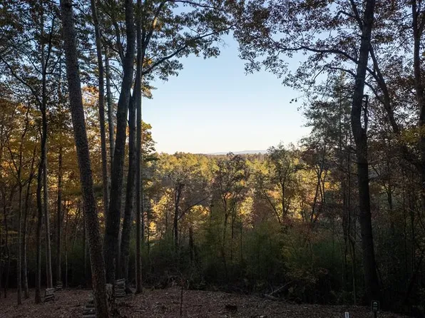 155 Rhondas Way, Ellijay, GA 30540