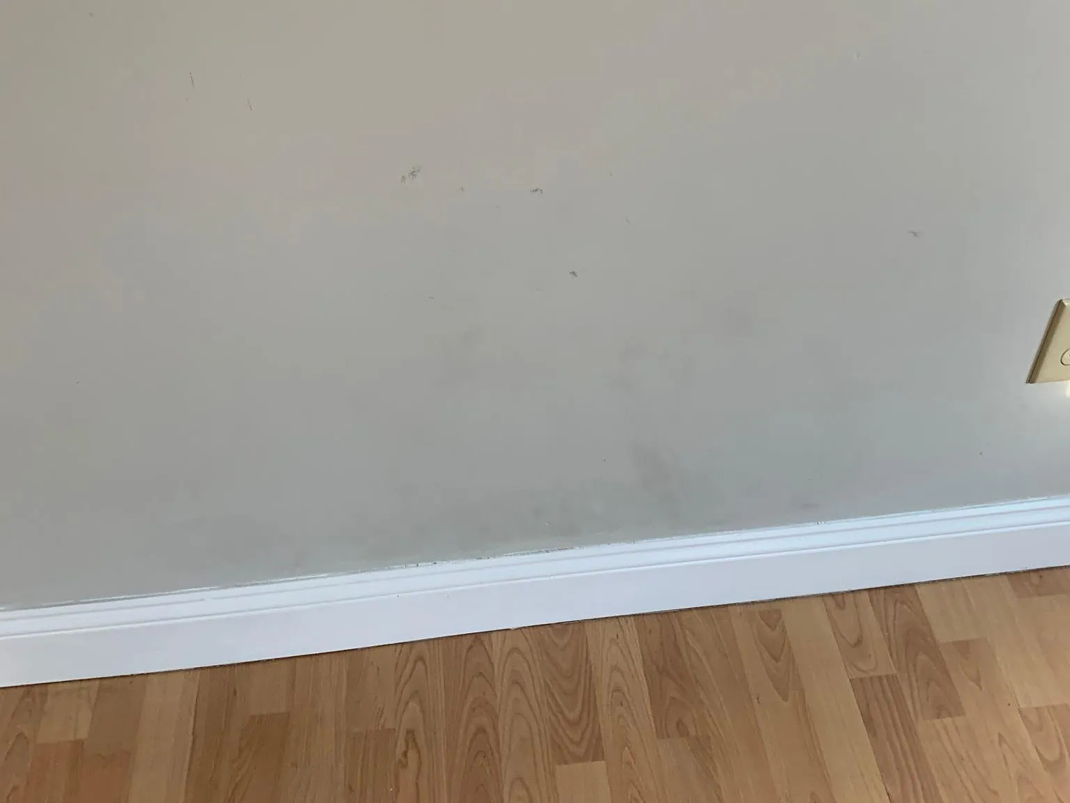 2 bed, 900 sqft, $2,150 — Photo 4