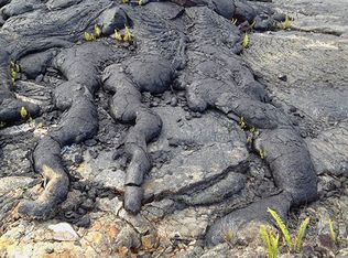 LOT 338, Pahoa, HI 96778