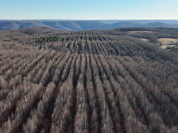 4th image of 0 Lewis Rd.