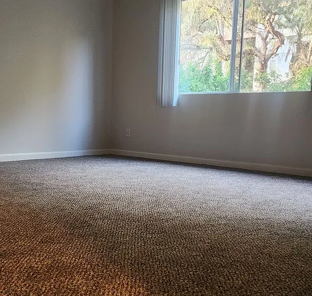 31932 Del Cielo Este — Photo 33