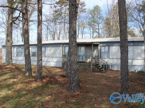 2678 County Road 138, Henagar, AL 35978