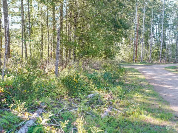 0 W Blueberry Lane, Elma, WA 98541