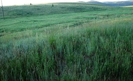 3rd image of Little Doe Acres
