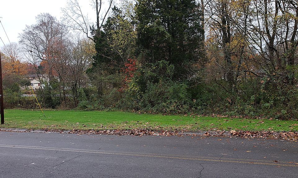 View from Quincy Ave