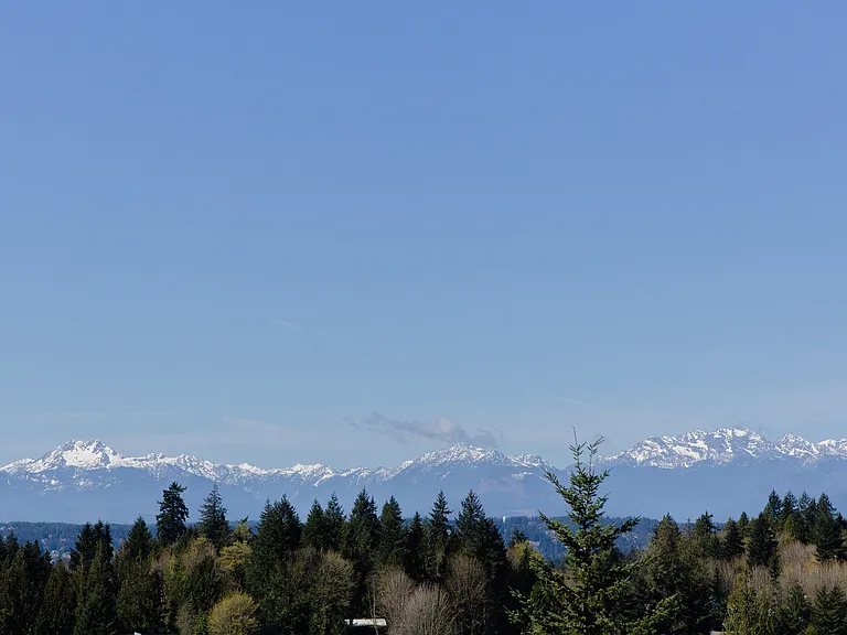 zzzWalnut Trail — Photo 49