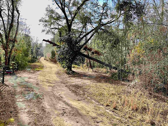 4th image of Aucilla Plantation Ct
