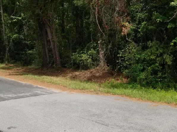 308 McDaniel St, Walterboro, SC 29488