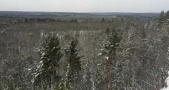 5th image of Red Rd