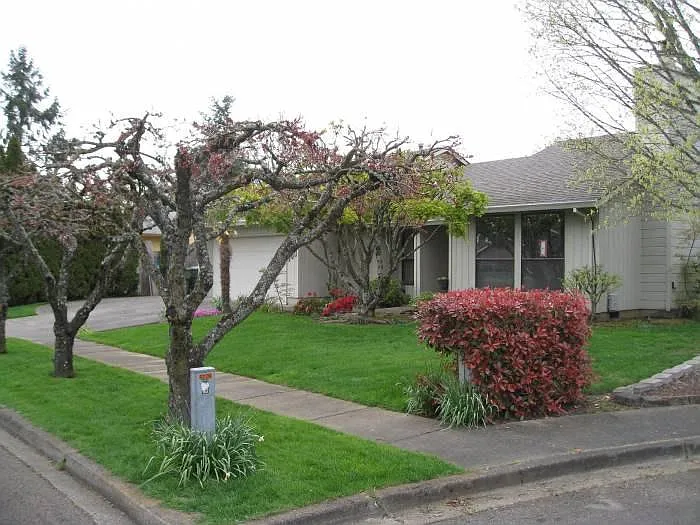 309 Pinehurst Dr — Photo 4