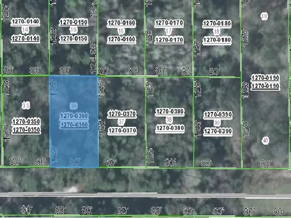 328 Laisy Dr, Georgetown, FL 32139