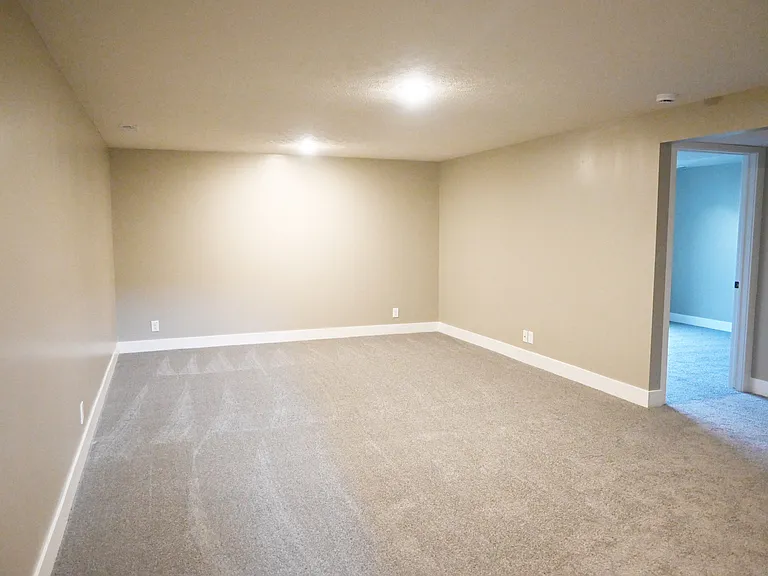 Large common area in basement with carpet.